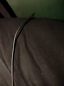 matakais's cam snapshot