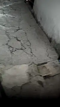 mendelicius's cam snapshot