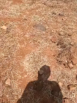 Tamilpaiyan07 live sex cam