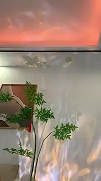 zhizhinaigai live sex cam