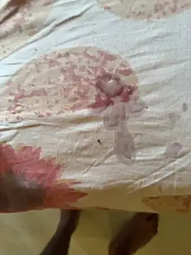 Bangalorehindu live sex cam