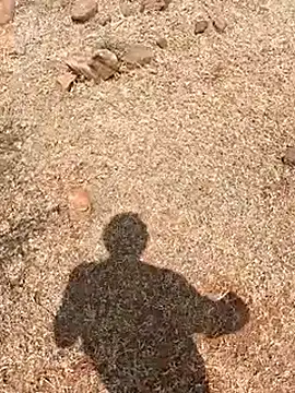 Tamilpaiyan07's cam snapshot