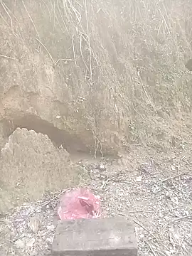 cutebobi's cam snapshot