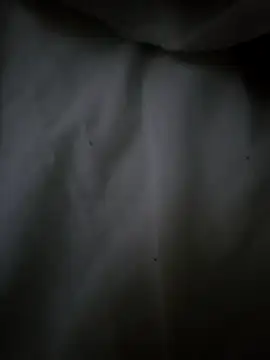 cleopriv00's cam snapshot