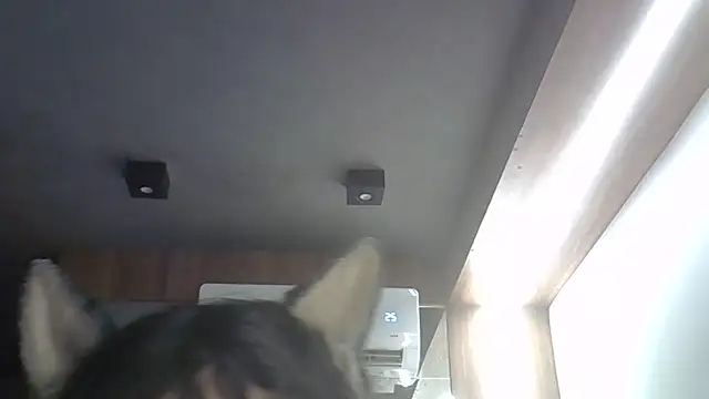 SkinnyKitten live sex cam