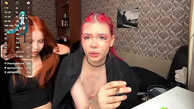 Veldenga's cam snapshot