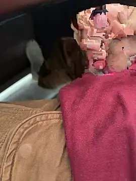 Ronny69y live sex cam