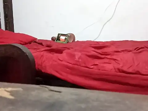 wel9238 live sex cam