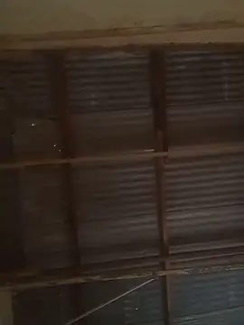 Princess2002Electron's cam snapshot