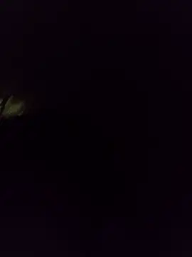 salome_xxx15 live sex cam