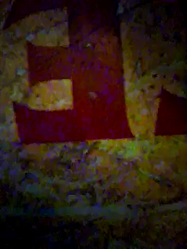 CockForPussy1508's cam snapshot