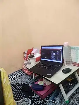 meenu_bhabhi547's cam snapshot