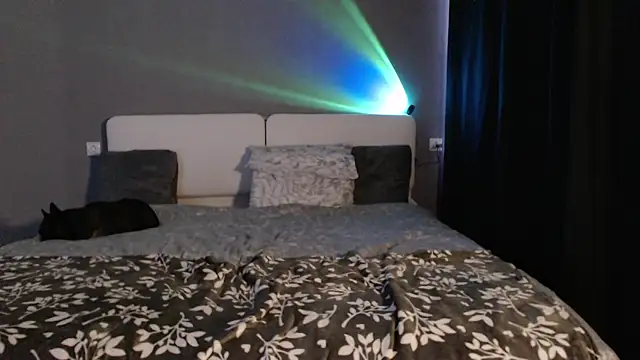 Reyleys's cam snapshot