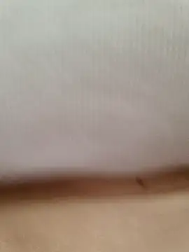 CuteSarikaLIVE's cam snapshot