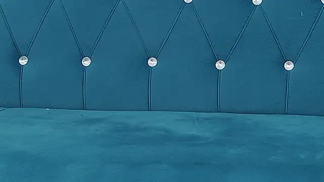 MegaBoobsDeee's cam snapshot