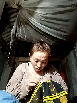 seacyre's cam snapshot