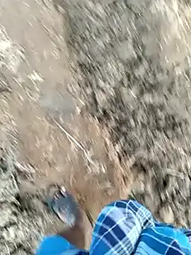 dolphiinn live sex cam