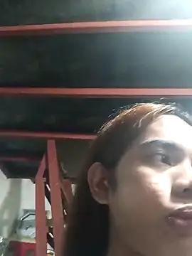 Wildcam21 live sex cam