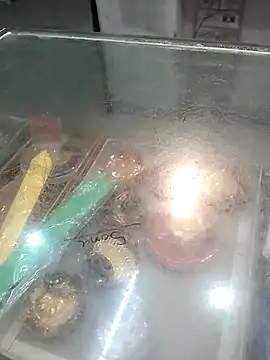 mohit08desi live sex cam