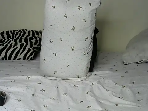 Salliet's cam snapshot