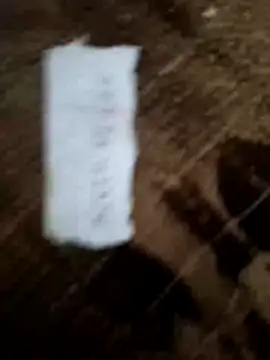 Payal950's cam snapshot