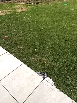 HotCaramela's cam snapshot