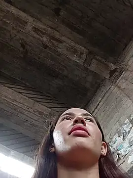 -Nicol's cam snapshot