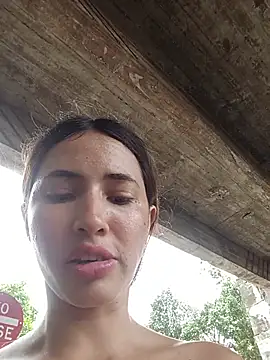 -Nicol's cam snapshot