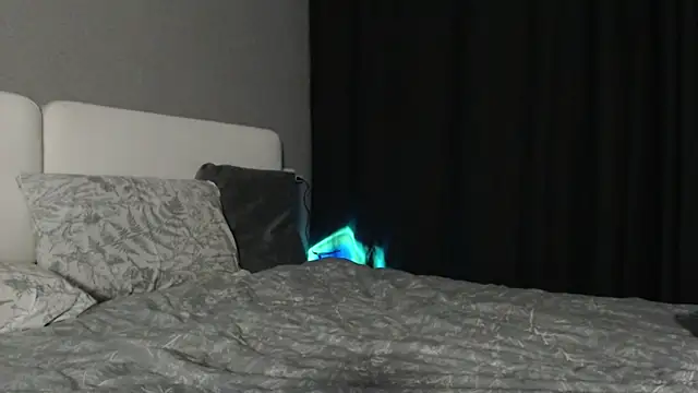 Reyleys's cam snapshot