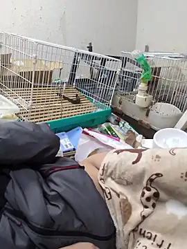 youheikun's cam snapshot