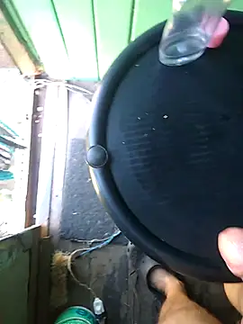 Alvaro2017 live sex cam