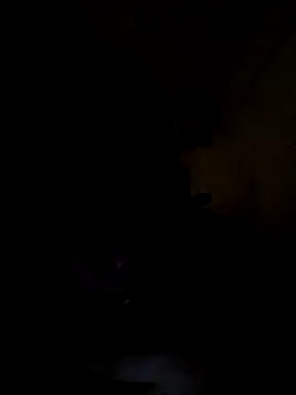 Wildcam21 live sex cam