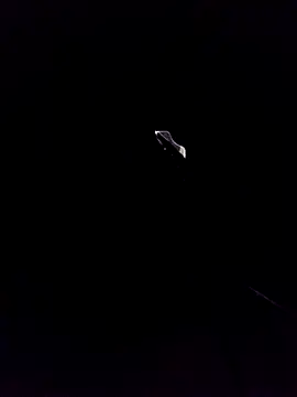 will1980 live sex cam