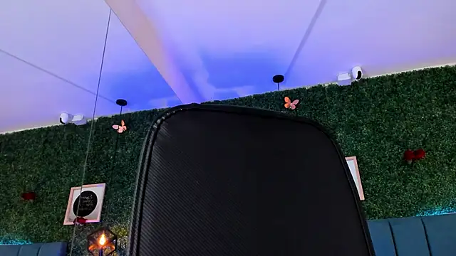 Linagh_'s cam snapshot