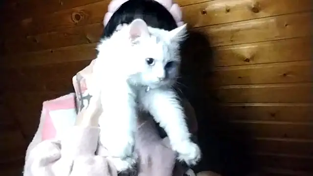 SmilingPatent's cam snapshot