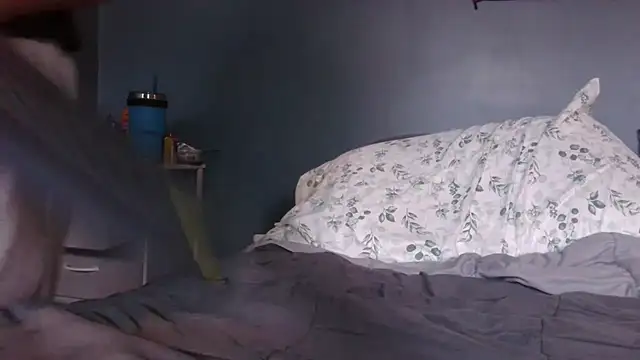 hpluvsplata live sex cam