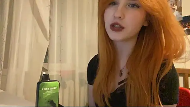 DynaLoom's cam snapshot