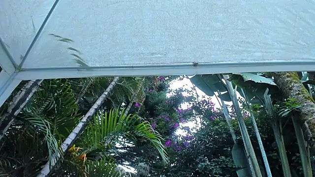 Angiehuston1 live sex cam