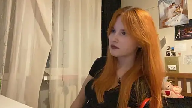 DynaLoom's cam snapshot