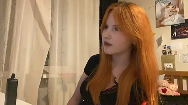 DynaLoom's cam snapshot