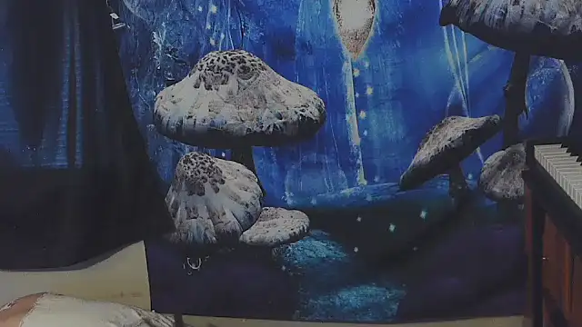 _hellostormy_'s cam snapshot