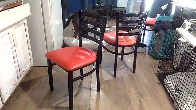 sexyhotstud12's cam snapshot