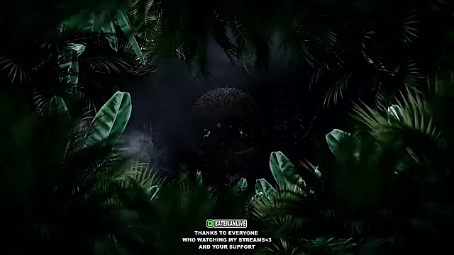 sebirp's cam snapshot