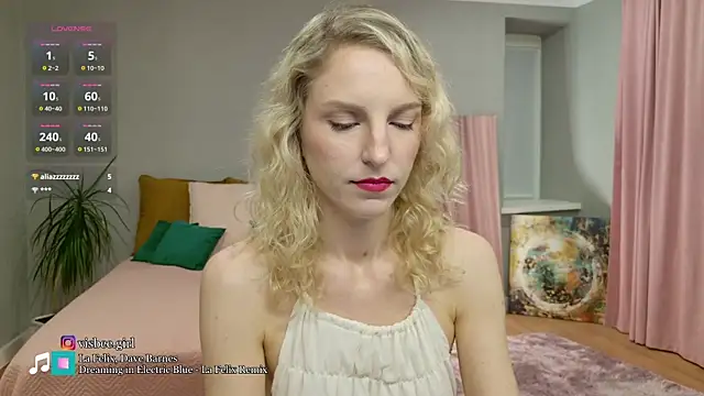 Visbee's cam snapshot