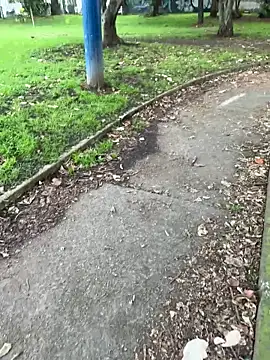 abiiegaill2's cam snapshot