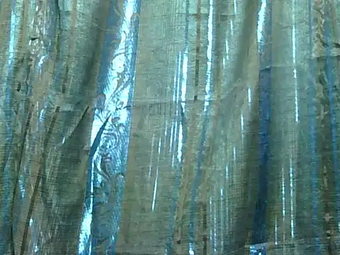 SassyXindian's cam snapshot