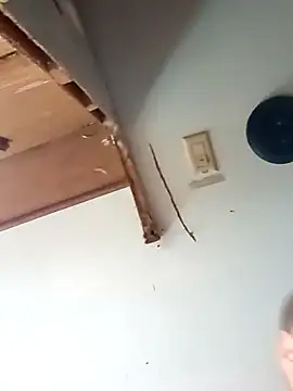 tjmacksjr live sex cam