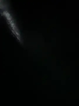 Noah_Wiliams live sex cam