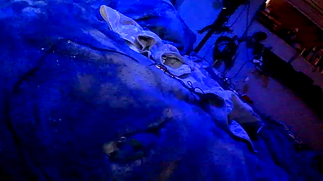 PornStro921 live sex cam