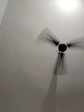 riyaroy087's cam snapshot